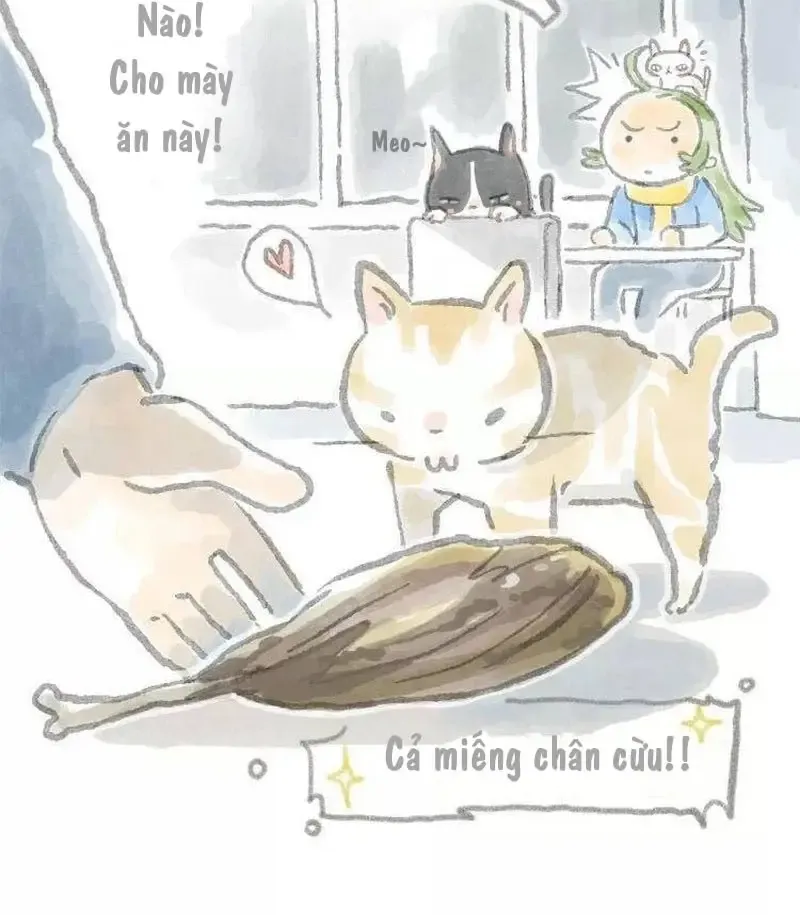 Ở Đây Có Mèo Chap 6 - Next Chap 7