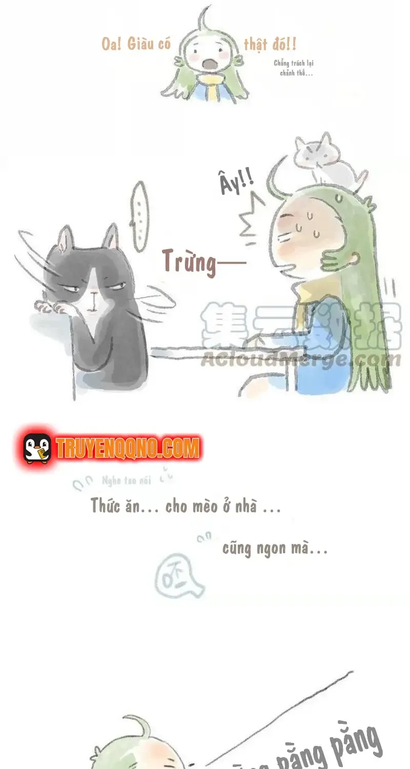 Ở Đây Có Mèo Chap 6 - Next Chap 7