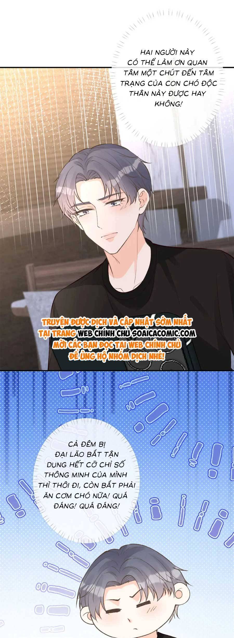 Ôm Khẩn Tiểu Mã Giáp Của Tôi Chap 202 - Next Chap 203