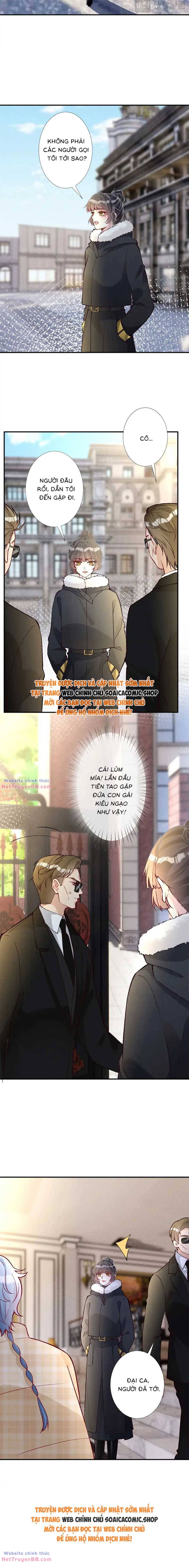 Ôm Khẩn Tiểu Mã Giáp Của Tôi Chap 295 - Next Chap 296