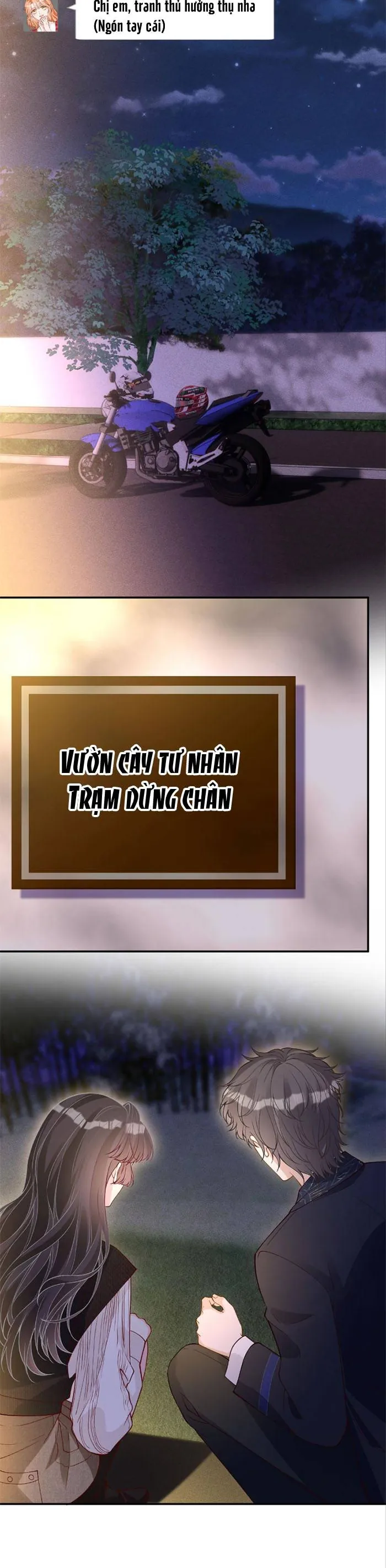 Ôm Khẩn Tiểu Mã Giáp Của Tôi Chap 398 - Next Chap 399