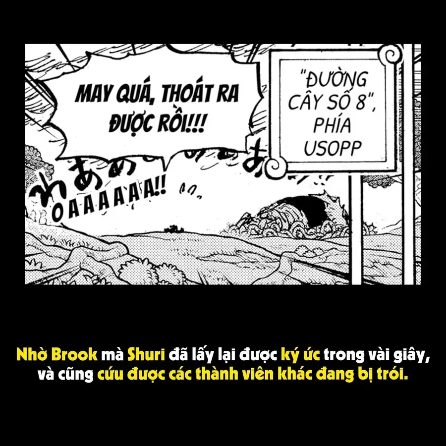 One Piece Chap 1173.1 - Next Chap 1174.1