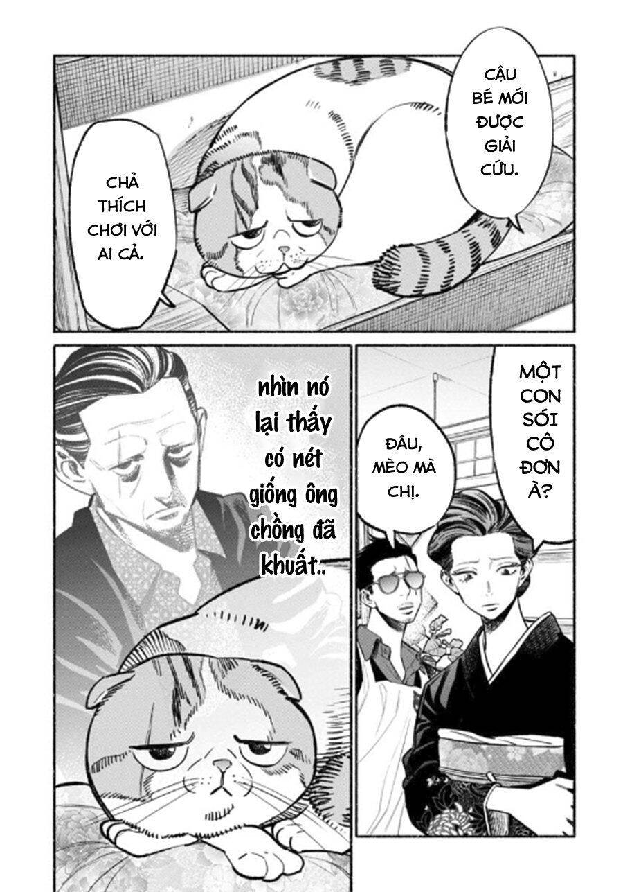 Ông Chồng Yakuza Nội Trợ Chap 55 - Next Chap 56