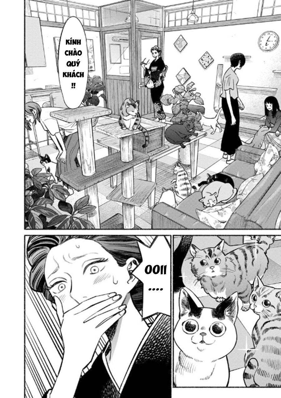 Ông Chồng Yakuza Nội Trợ Chap 55 - Next Chap 56