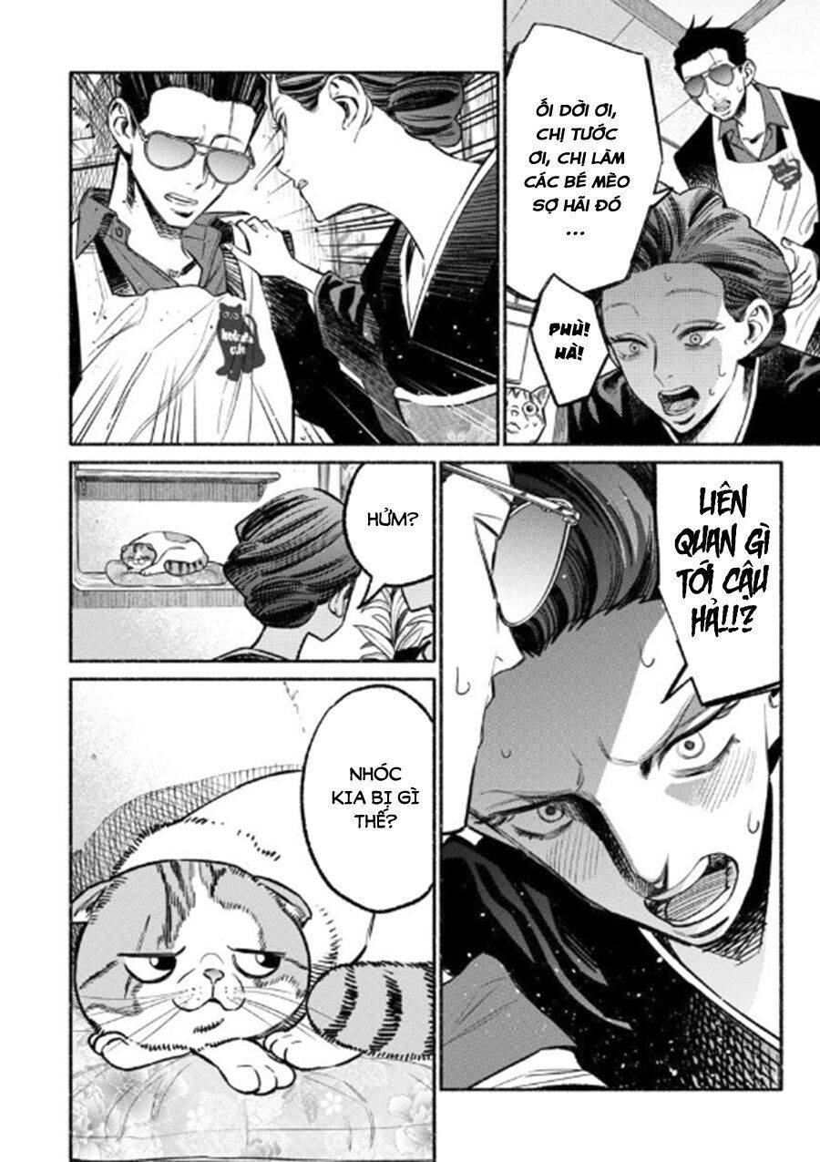 Ông Chồng Yakuza Nội Trợ Chap 55 - Next Chap 56