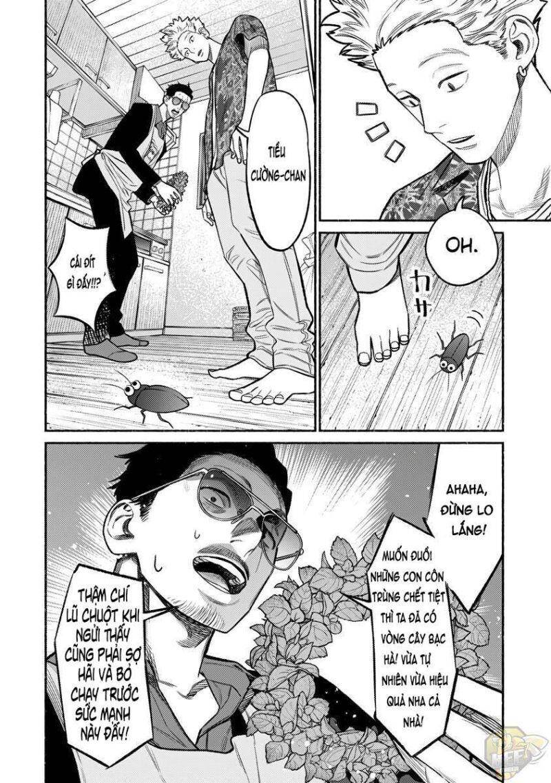 Ông Chồng Yakuza Nội Trợ Chap 73 - Next Chap 74