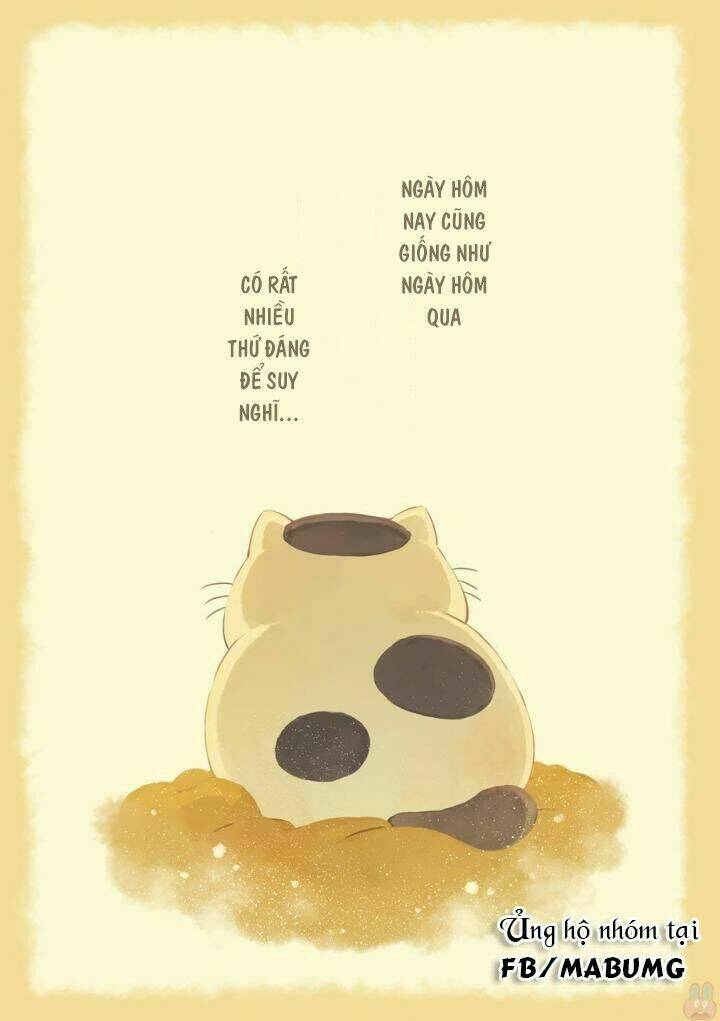 Ông Chú Và Con Mèo Mặt Bựa Chap 1 - Next Chap 2