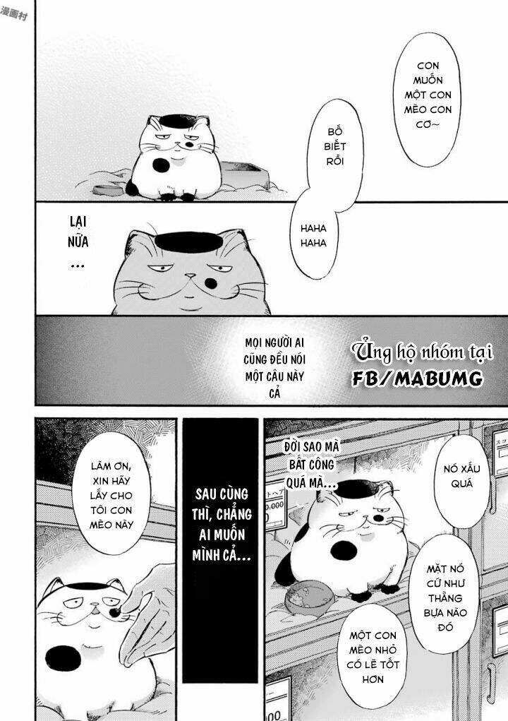Ông Chú Và Con Mèo Mặt Bựa Chap 1 - Next Chap 2