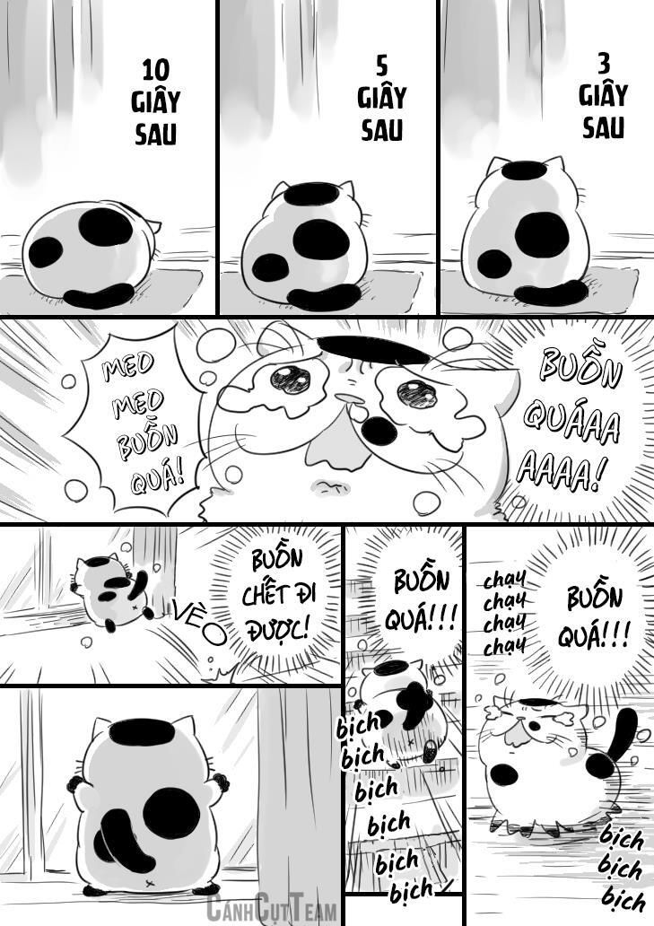 Ông Chú Và Con Mèo Mặt Bựa Chap 11.1 - Next Chap 12.1
