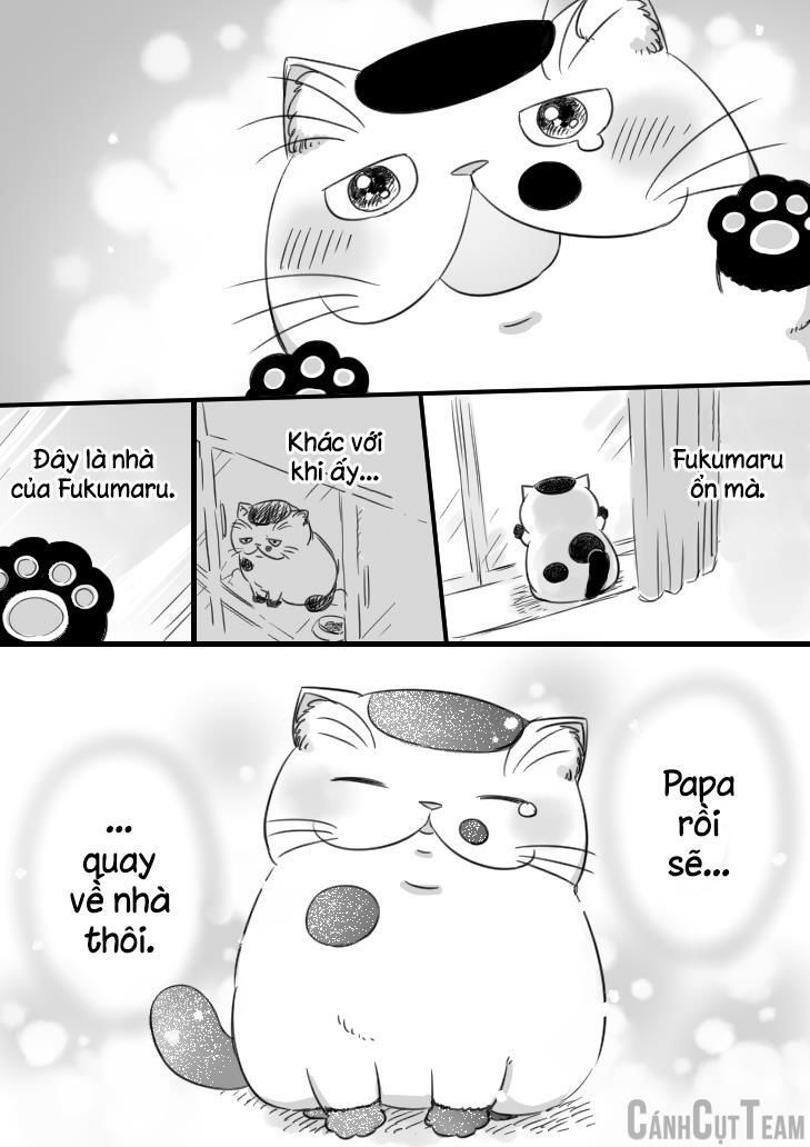 Ông Chú Và Con Mèo Mặt Bựa Chap 11.1 - Next Chap 12.1