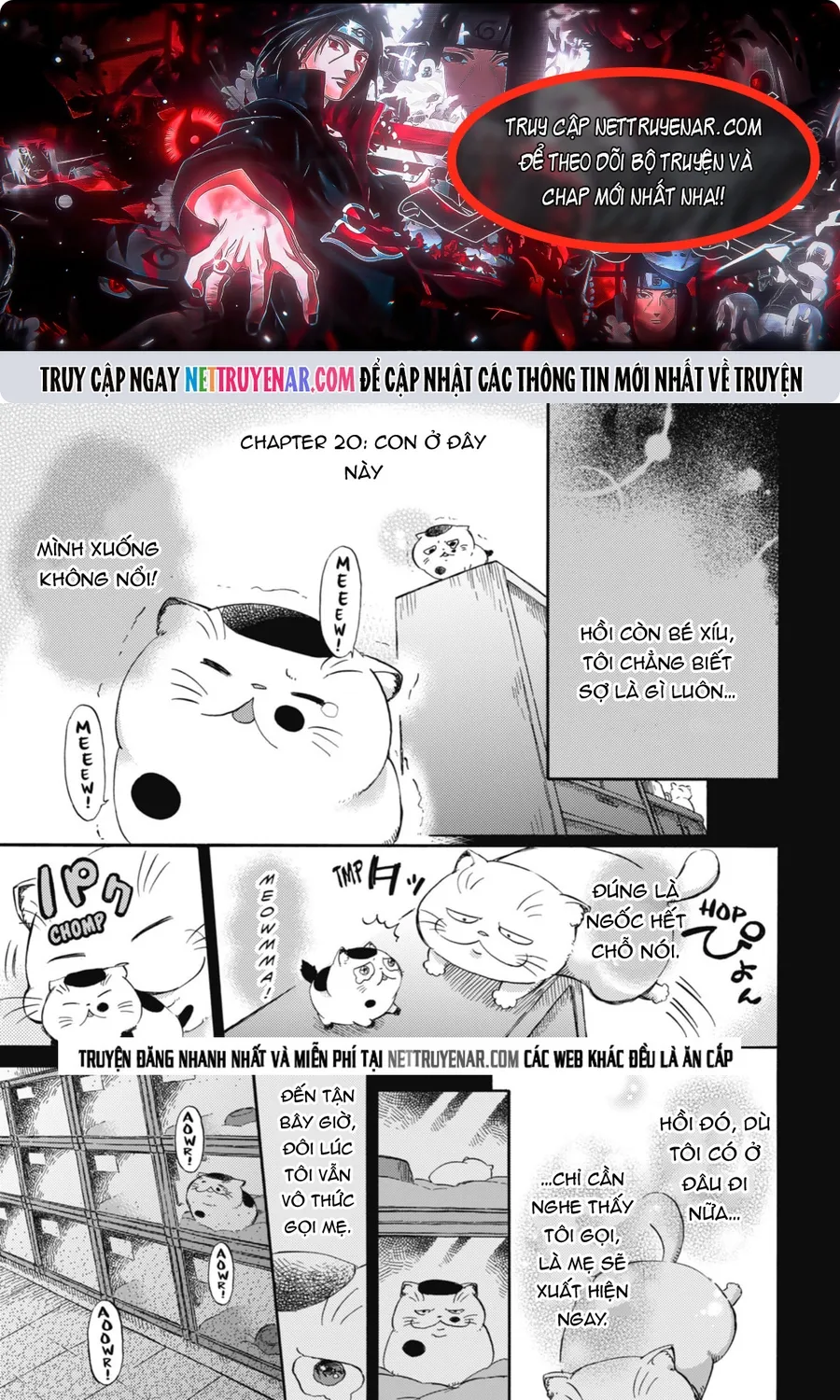Ông Chú Và Con Mèo Mặt Bựa Chap 20 - Next Chap 21