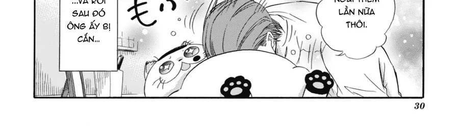 Ông Chú Và Con Mèo Mặt Bựa Chap 20 - Next Chap 21
