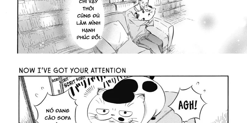 Ông Chú Và Con Mèo Mặt Bựa Chap 28 - Next Chap 29