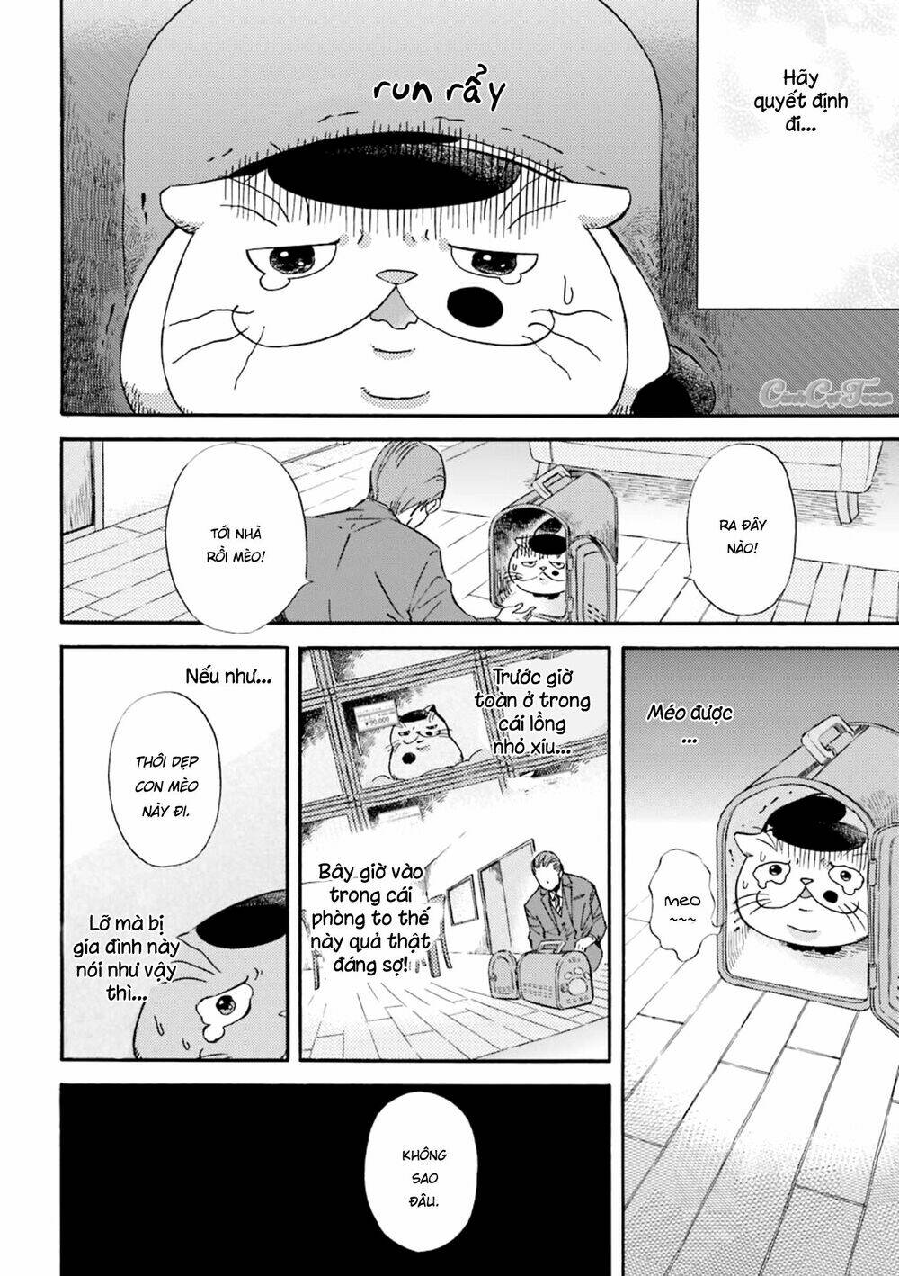 Ông Chú Và Con Mèo Mặt Bựa Chap 3 - Next Chap 4