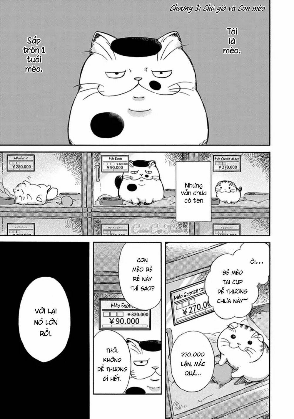 Ông Chú Và Con Mèo Mặt Bựa Chap 3 - Next Chap 4