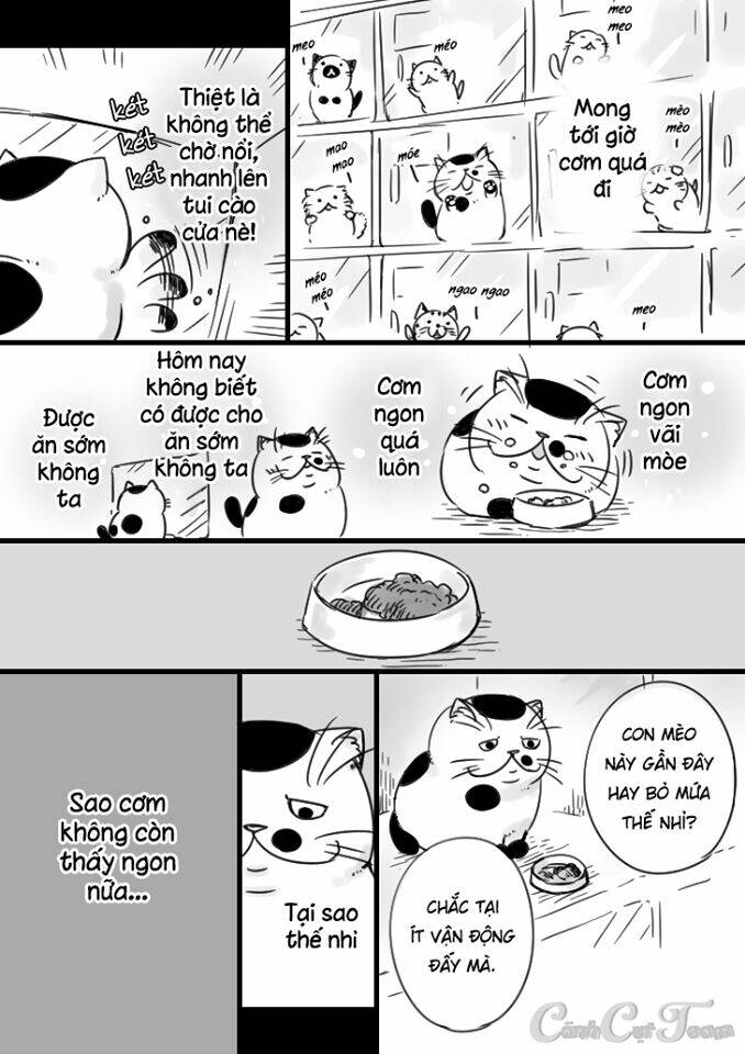 Ông Chú Và Con Mèo Mặt Bựa Chap 5 - Next Chap 6