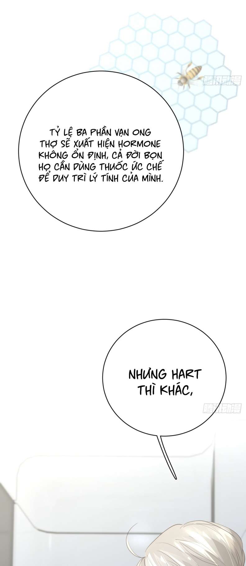 Ong Thợ Chap 11 - Next Chap 12