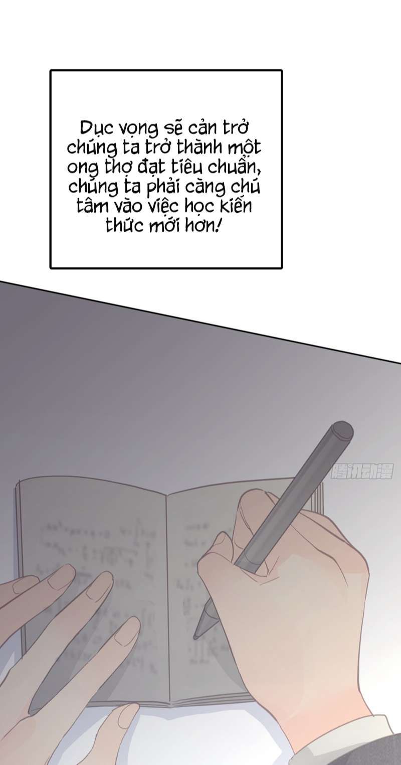Ong Thợ Chap 15 - Next Chap 16