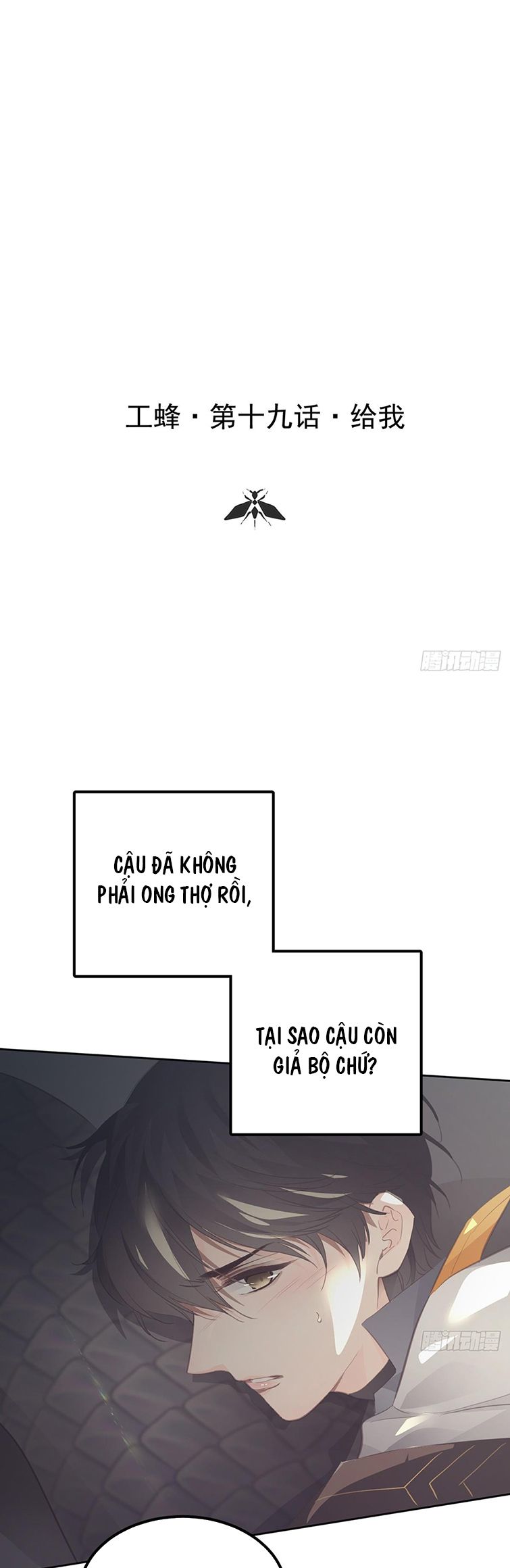 Ong Thợ Chap 20 - Next Chap 21