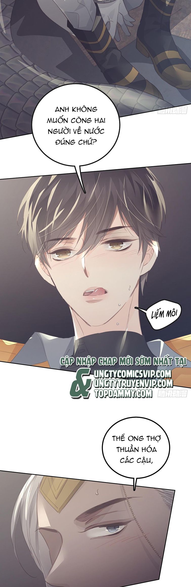Ong Thợ Chap 20 - Next Chap 21