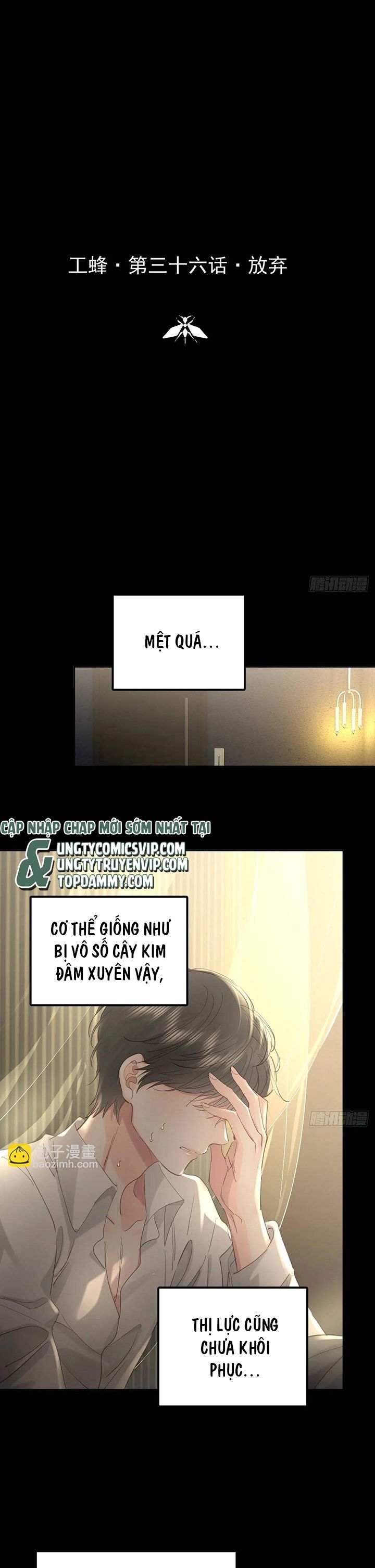 Ong Thợ Chap 36 - Next Chap 37