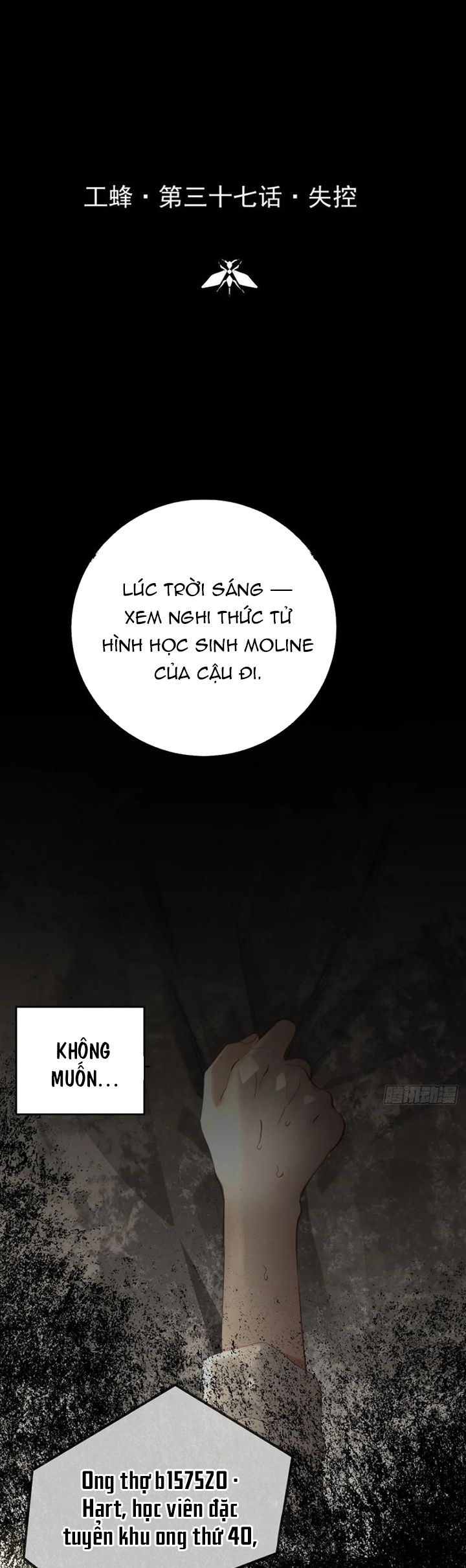 Ong Thợ Chap 37 - Next Chap 38