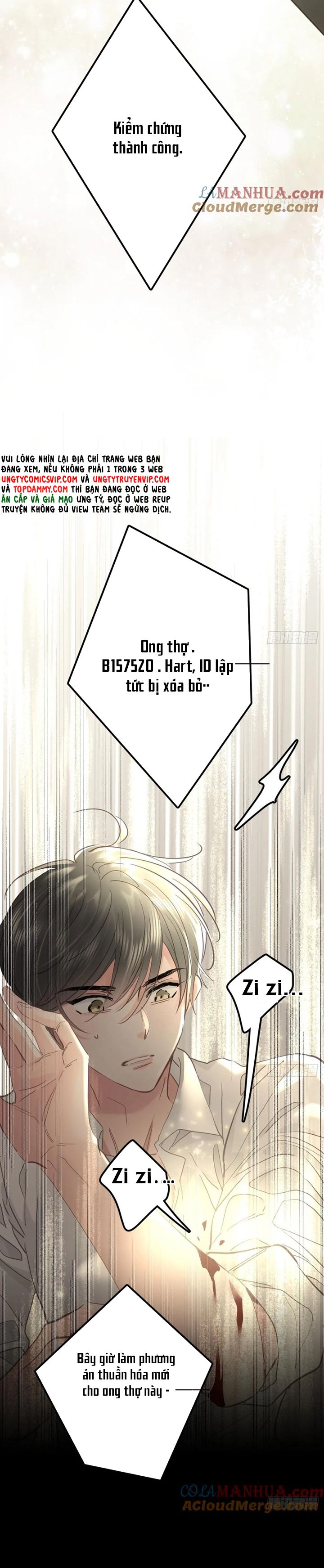 Ong Thợ Chap 38 - Next Chap 39