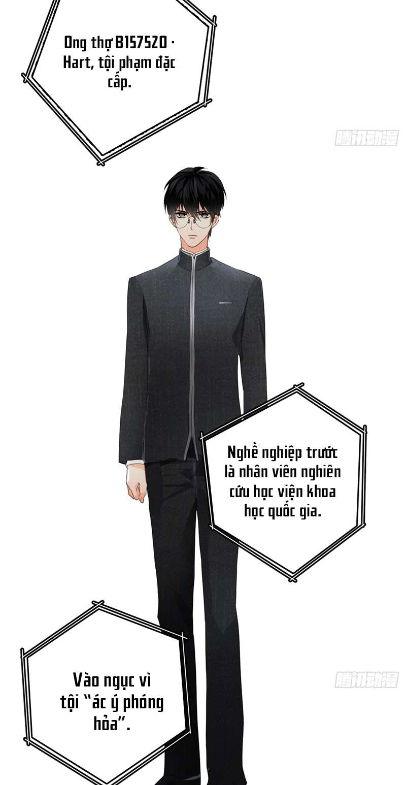 Ong Thợ Chap 5 - Next Chap 6