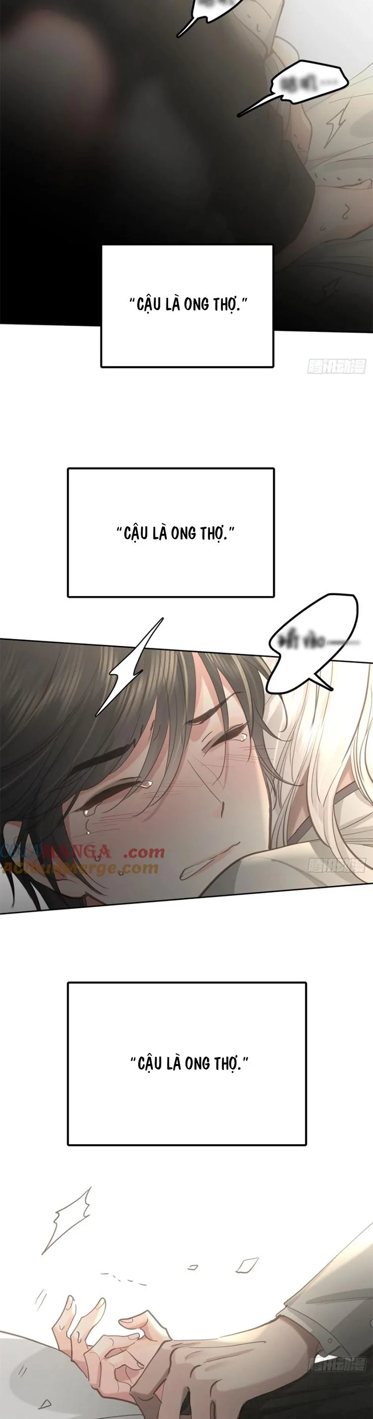 Ong Thợ Chap 51 - Next Chap 52