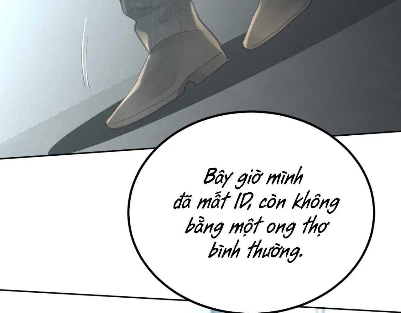 Ong Thợ Chap 56 - Next Chap 57