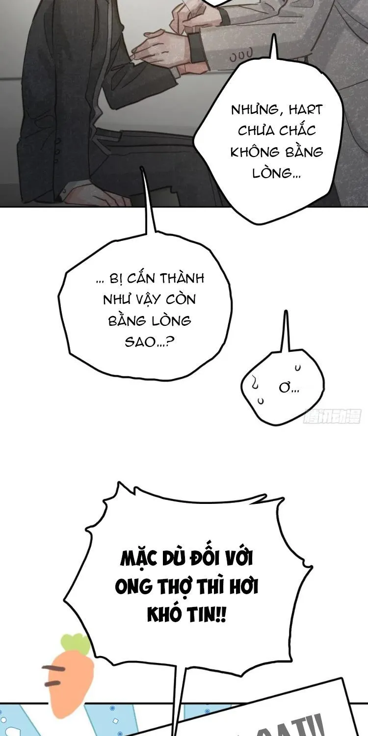 Ong Thợ Chap 58 - Next Chap 59