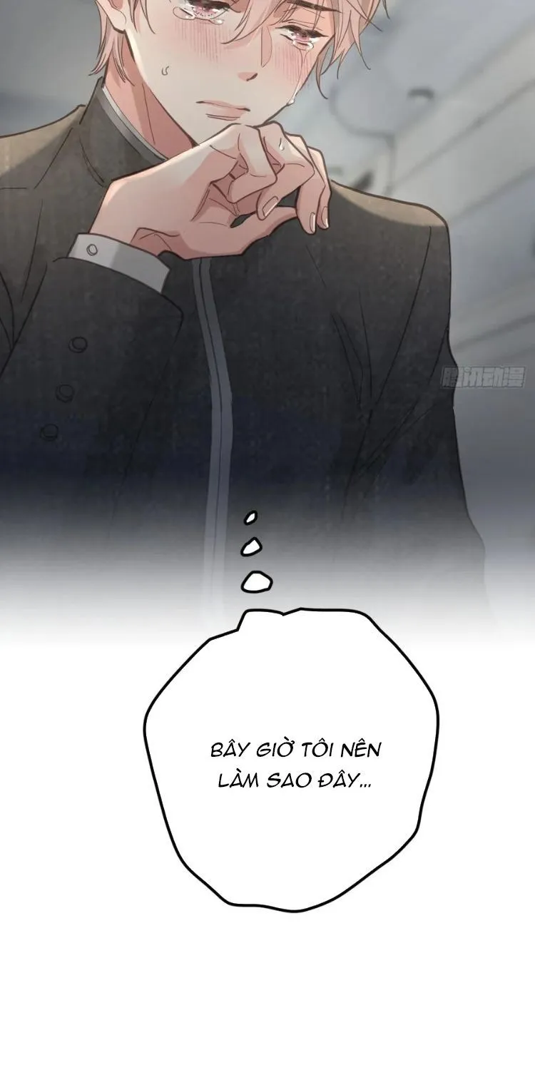 Ong Thợ Chap 59 - Next Chap 60