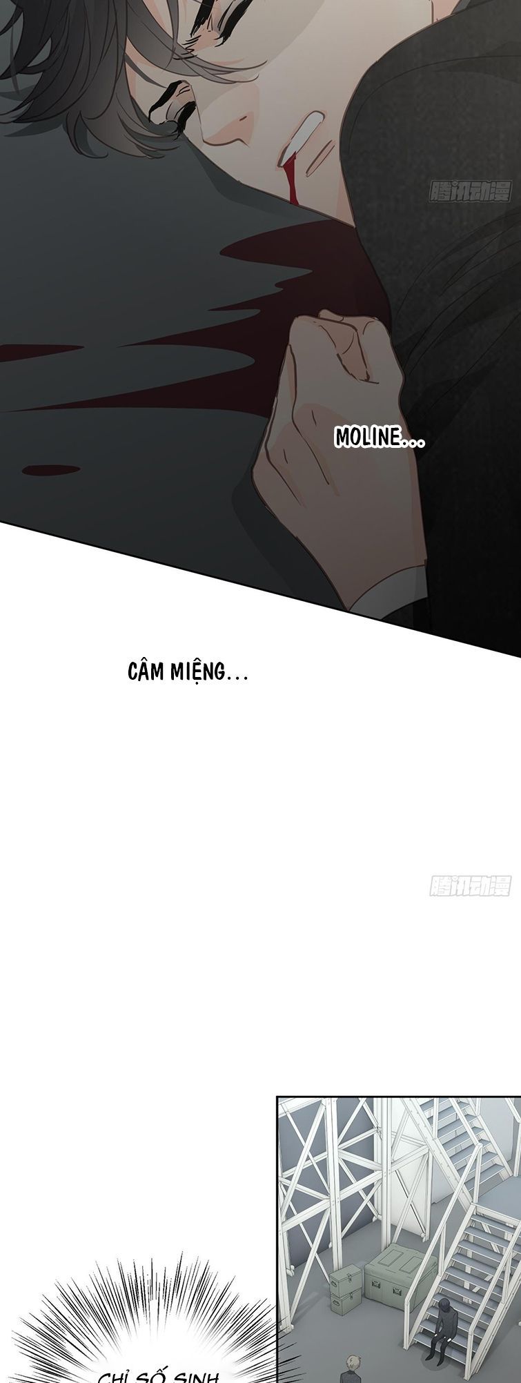Ong Thợ Chap 6 - Next Chap 7