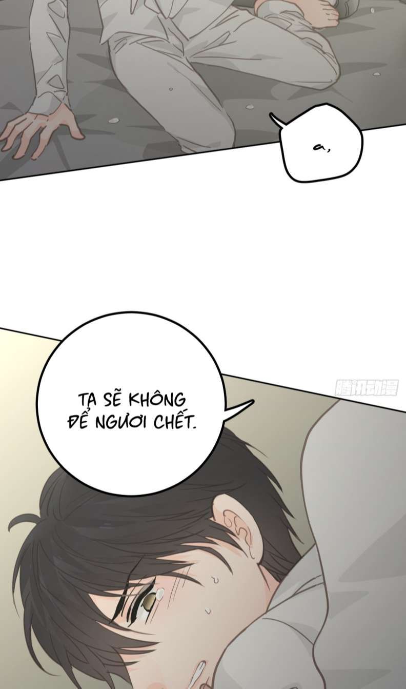 Ong Thợ Chap 7 - Next Chap 8