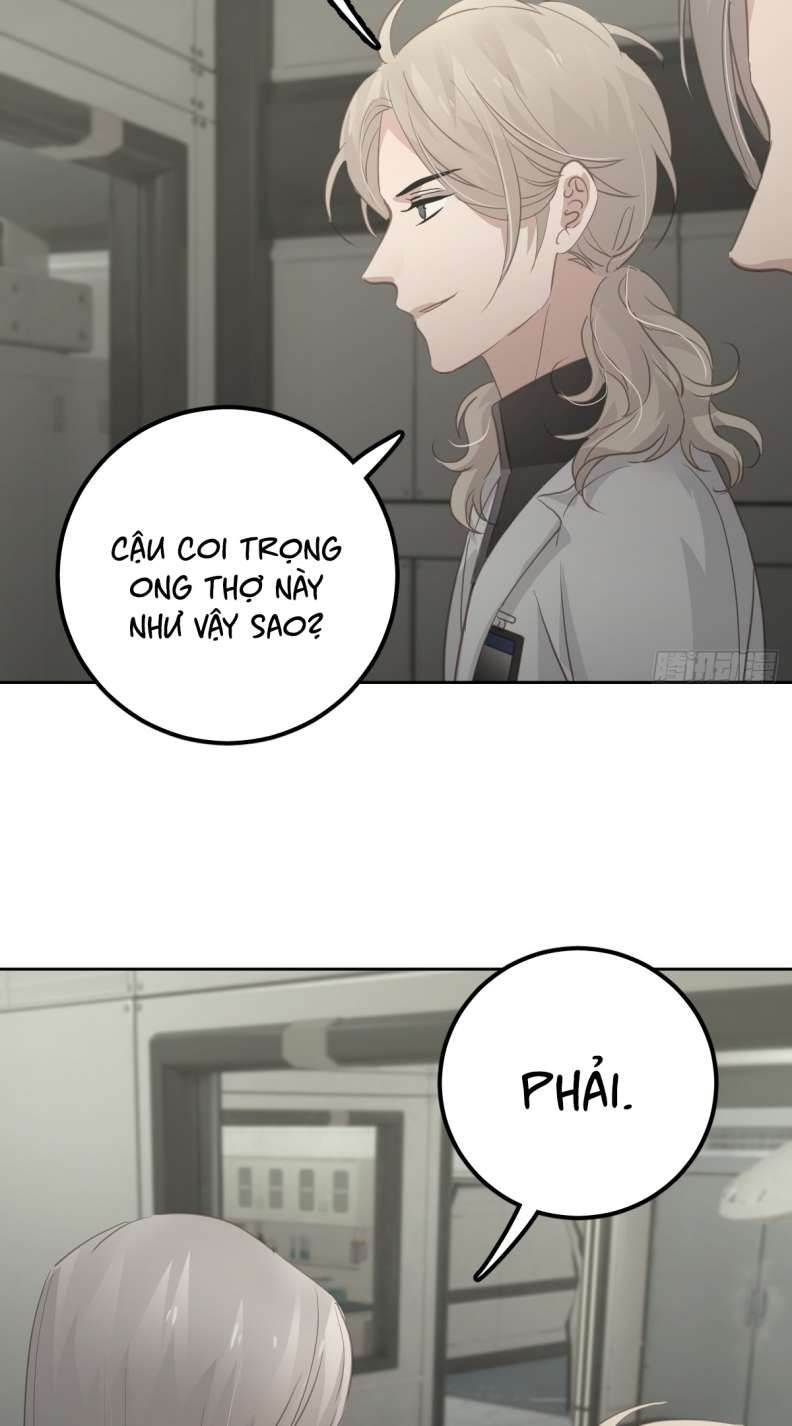 Ong Thợ Chap 7 - Next Chap 8