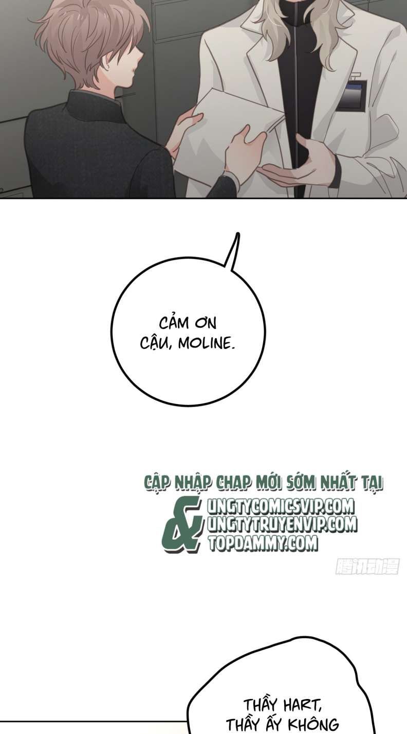 Ong Thợ Chap 7 - Next Chap 8