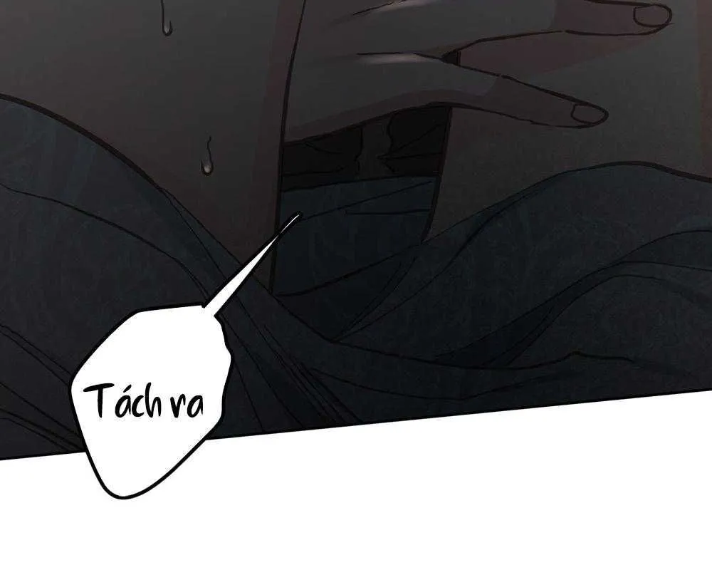 Ong Thợ Chap 76 - Next Chap 77