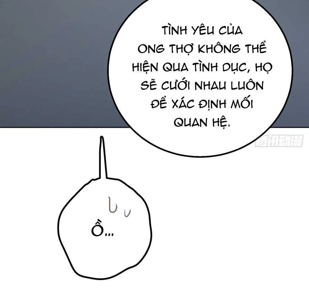 Ong Thợ Chap 80 - Next Chap 81