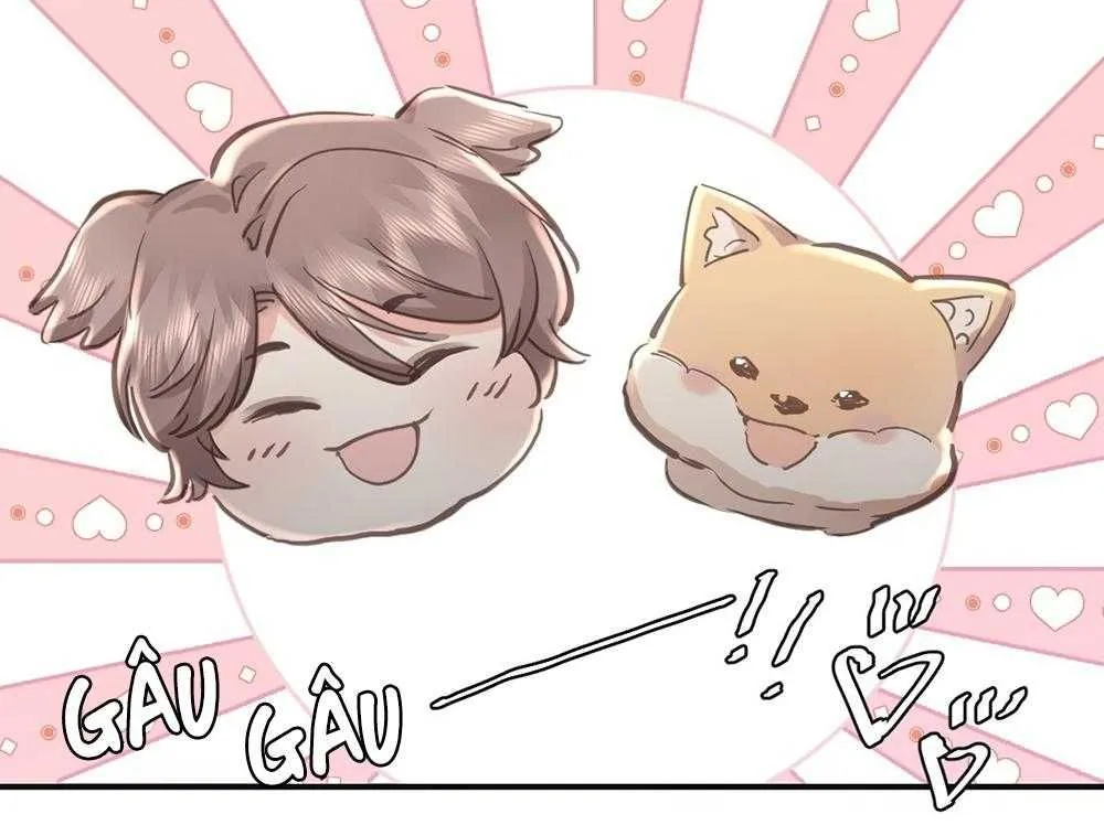 Ong Thợ Chap 80 - Next Chap 81