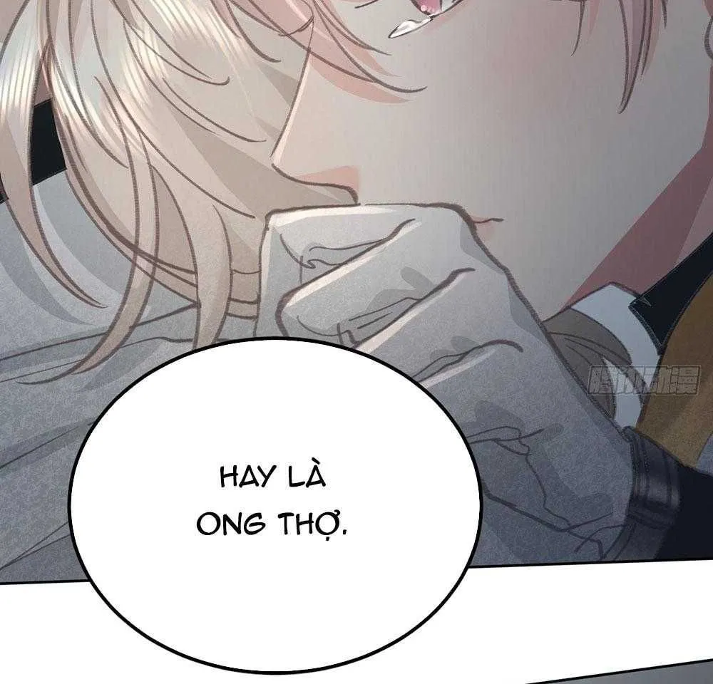 Ong Thợ Chap 84 - Next Chap 85