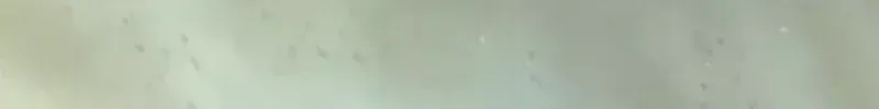 Ông Võ Giả Và Cháu Chí Tôn Chap 106 - Next Chap 107