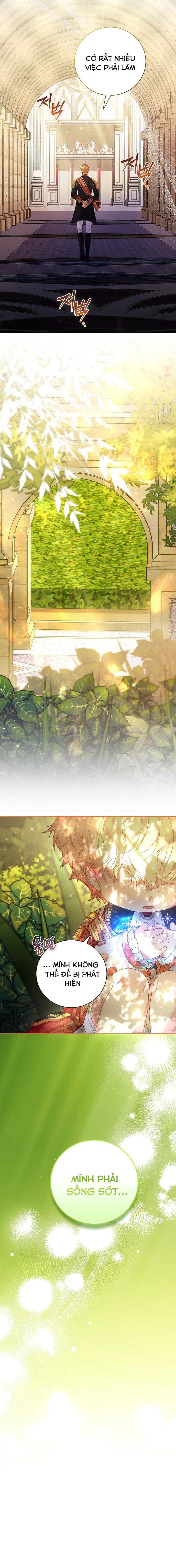 Papa Là Kẻ Thù Kiếp Trước Của Tôi? Chap 10 - Next Chap 11