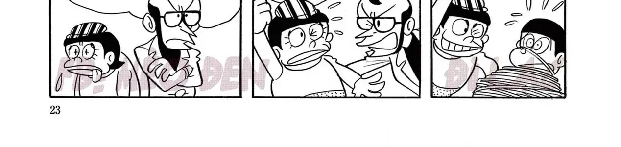 23