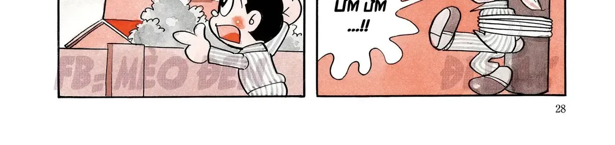 41