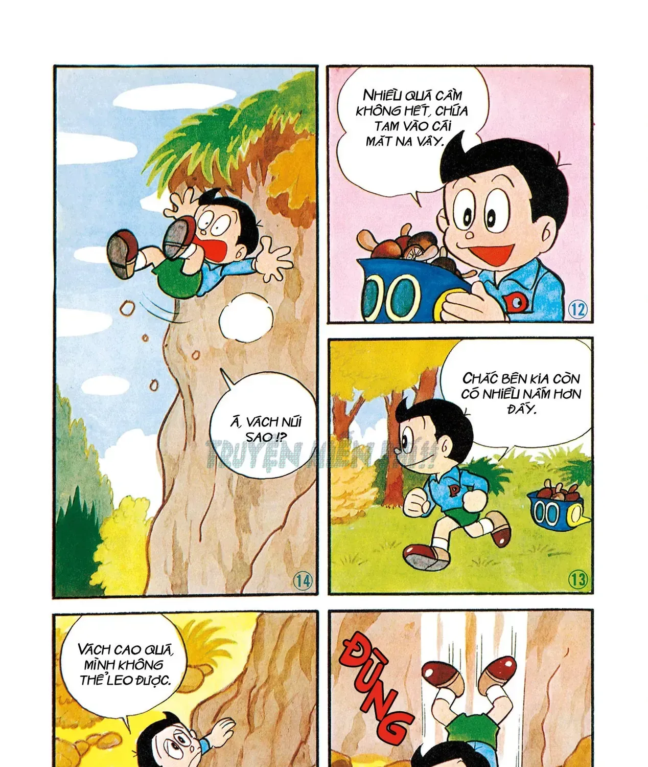 56