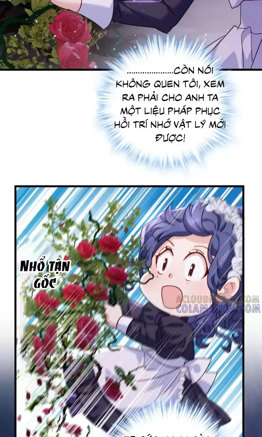Pháo Hôi Cô Ấy Không Ưa Kịch Bản Này Lâu Rồi Chap 108 - Next Chap 109