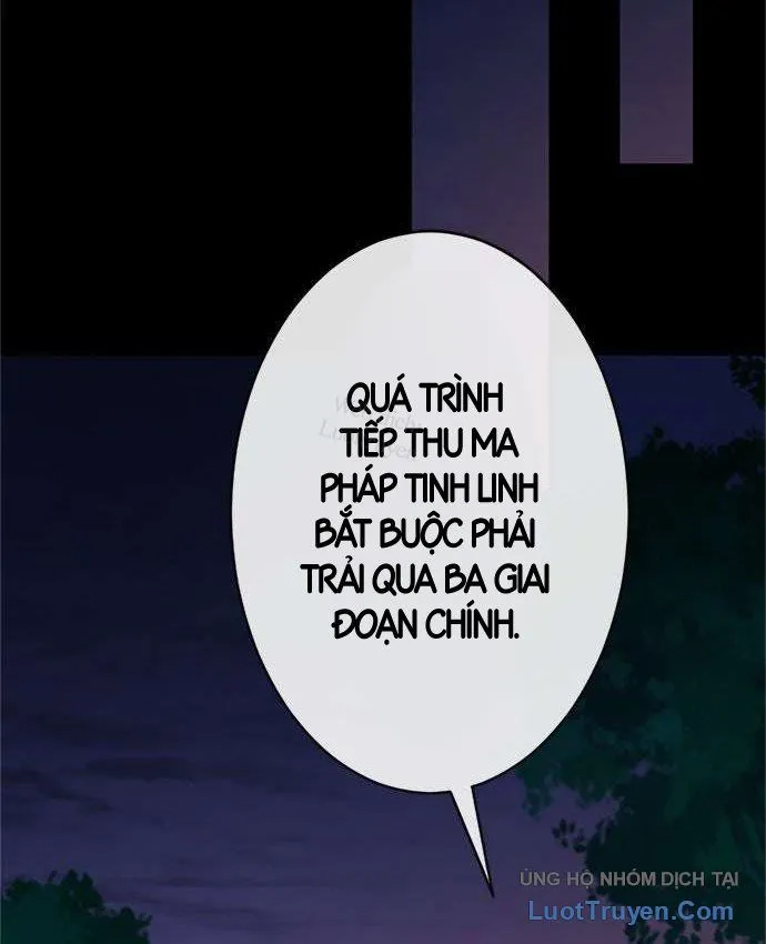 Pháp Sư Cận Chiến Hồi Quy Chap 35 - Next Chap 36