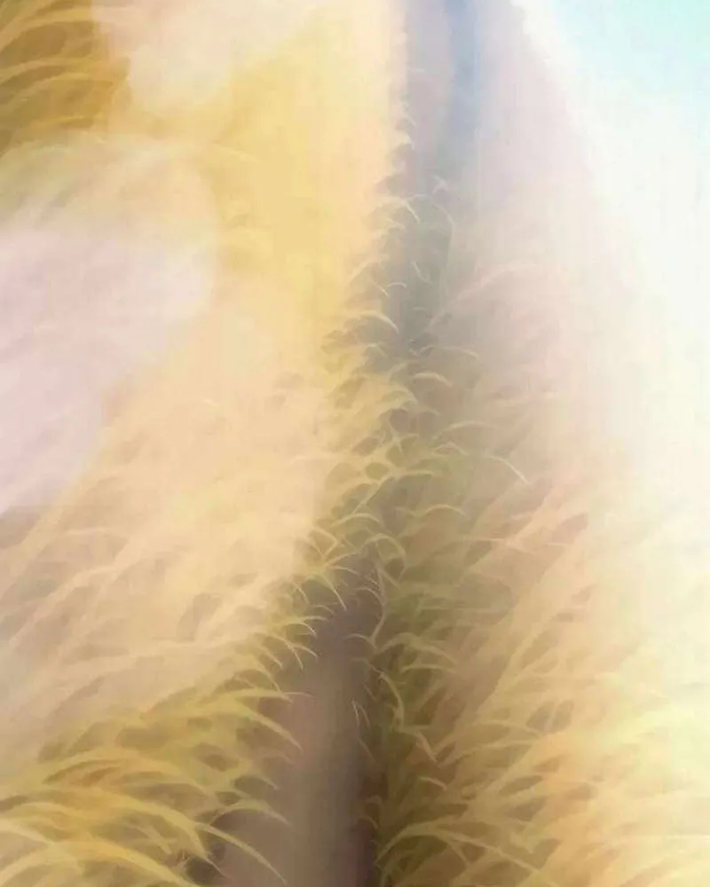 Pháp Sư Chăn Cừu Chap 12 - Next Chap 13