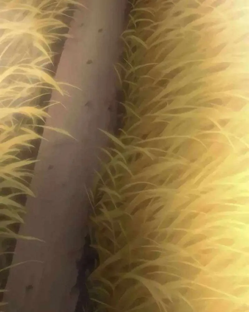 Pháp Sư Chăn Cừu Chap 12 - Next Chap 13