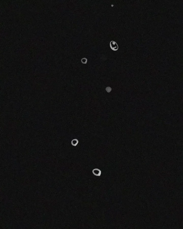 Pháp Sư Đạo Tiền Chap 38 - Next Chap 39